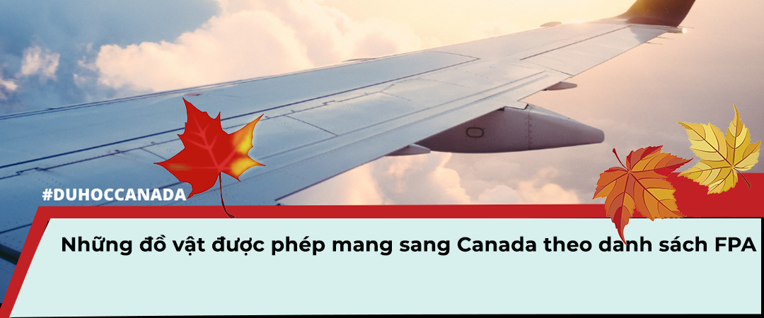 FPA - duhoclightacademy